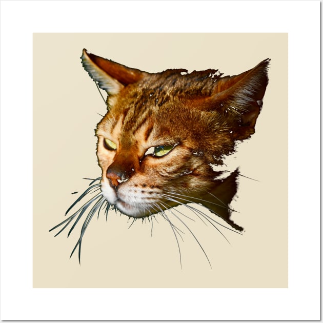 Bengal cat Wall Art by Wolf Art / Swiss Artwork Photography